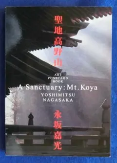 Item thumbnail for item 9ee71c7f-6b12-4671-993b-bb203faa8eaf