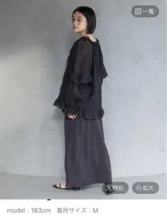 Plage Washable Fibril フレア スカート サイズ34 - メルカリ