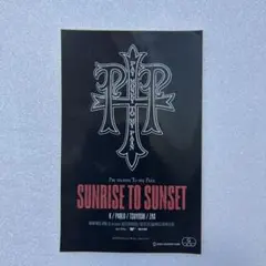 Pay money To my Pain ステッカー SUNRISE TO レア