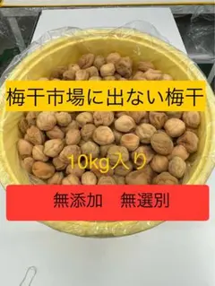 無添加かわあつ梅10kg白干し - メルカリ
