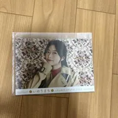 水瀬いのり いのりまち町民集会2026 ライブグッズ 生写真A ブロマイド