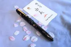 Namiki 波と千鳥 研出平蒔絵 万年筆 - メルカリ