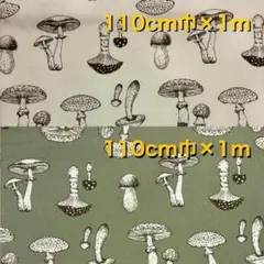綿プリント オックス生地 2色セット【きのこ】110cm幅 × 約1m 日本製