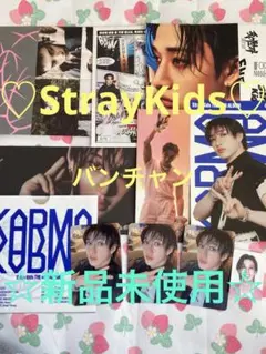 ♡StrayKidsバンチャン♡公式カード＆CD『KARMA』12点セット新品