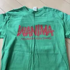 WANIMA Tシャツ グリーン