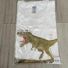 希少　ギルダン　わけあって絶滅しました。　Tシャツ　サイズL ティラノサウルス