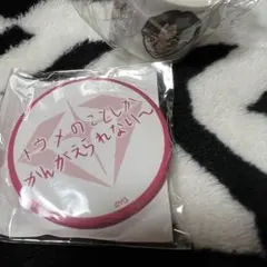 TREASURE カプセルトイ ジョンファン