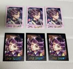 ラムリ　ぱしゃこれ　ホロ　レアpremium vol.2 あくねこ