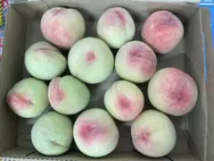 色入れ直前若桃加工用　箱込み２０キロ 549.特売季節限定福島県産若桃硬桃シャキシャキ加工用箱込み1.4kg常温