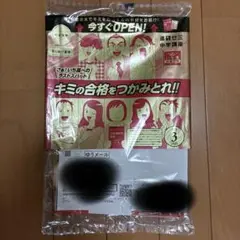 進研ゼミ中学講座　入試得点力完成2025 中3 3月　他