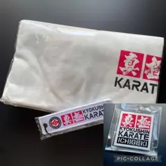 Item thumbnail for item ab4c1a07-9965-4654-9d64-6aa78abfb7bf