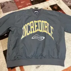 Item thumbnail for item 98b145e8-72b6-4b02-a9a8-8faa13fc78b4