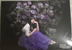 2025年最新】乃木坂リズムフェスティバルの人気アイテム - メルカリ