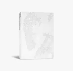 V ‘TYPE 非’ 写真集　フォトブック　BTS テテ