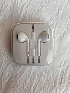 iPhone イヤホン　充電器　純正