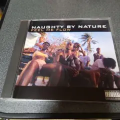 貴重盤　Naughty By Nature Feel Me FLOW　CDS
