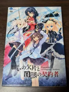 願いの欠片と白銀の契約者(アグリーメント)