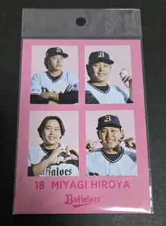 オリックス 宮城大弥 Buffaloes4カットフォト