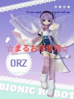 まるお様専用 箱・ブリスター無し