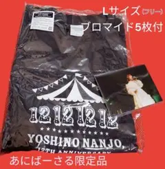 Item thumbnail for item 9e4e48cf-2ed4-4aac-b765-1cd5a7d958ca