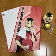 な*☆様 極楽湯ハイキューコラボ　ガチャガチャ　音駒　研磨セット