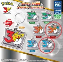 ポケモン30周年 メタルチャームマスコット カメックス＆リザードン