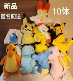 新品　未使用
