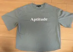 【美品】AQUA HISTORY Aptitude Tシャツ L グレー 薄緑