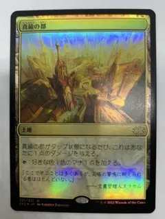 Item thumbnail for item b529b2e0-08a8-4efb-bfce-0a7eef7ff861