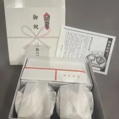 Item thumbnail for item 7fc402a5-4a7d-4c2b-9919-9751b65fa2cb