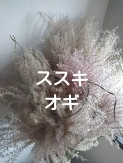 ご先祖様♡プロフ見てね♡様 リクエスト 2点 まとめ商品