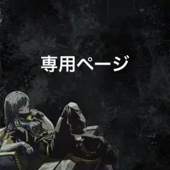 専用ページ