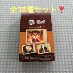 鬼滅 無限列車編 ぱしゃこれ 全種セット❣