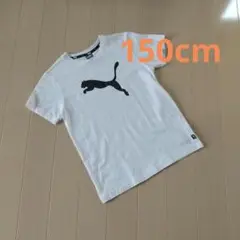 9/30まで出品　プーマ　半袖　Tシャツ　150cm