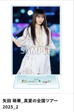 乃木坂46 BIGアクリルスタンド 矢田萌華 NOGIZzz… 乃木坂46 矢田萌華 アクリルスタンド セブンネット限定 - メルカリ