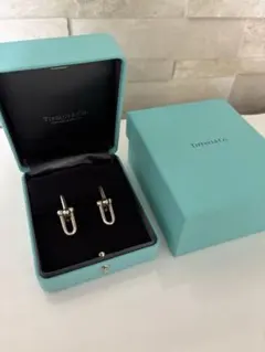 2025年最新】TIFFANY 付属品：箱 ピアス(両耳用)の人気アイテム - メルカリ