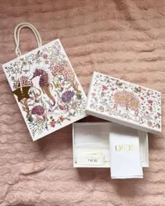Dior ショッピングバッグ セット