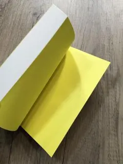 Item thumbnail for item 094c6b9b-1953-415c-b313-261d4aed029d