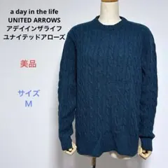 美品a day in the lifeユナイテッドアローズ 長袖ニット セーター