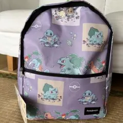 ポケットモンスター プラチナムザッカリュック～カントー地方～