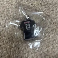 アルビレックス新潟　吉満大介　ユニフォームアクセサリー