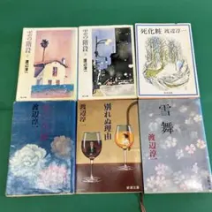 渡辺淳一 文学作品集 角川文庫他