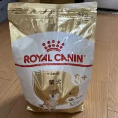 Item thumbnail for item 83bfbd85-7a55-44ca-920c-4ab79c08a2c4