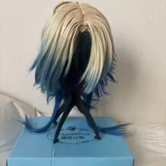 2026年最新】カイザー ウィッグの人気アイテム - メルカリ