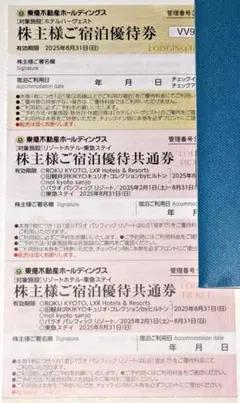 東急不動産ホールディングス 宿泊優待券 1枚 共通券 2枚 株主優待