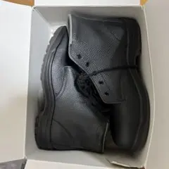 Item thumbnail for item a3cda62d-d2bd-48f0-bb86-a42a4507c56e