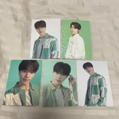 SEVENTEEN ディノ トレカ セット
