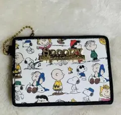 ☆未使用品☆PEANUTS スヌーピ　パスケース・定期入れ　オシャレ