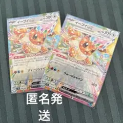 ポケカ　イーブイex ２枚　送料無料　匿名発送