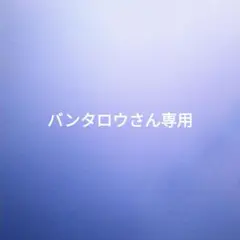 バンタロウさん専用